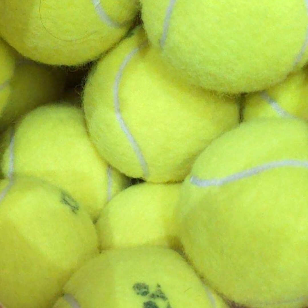 テニスボール1個 & ユーカリの葉 スポーツ/アウトドアのテニス(ボール)の商品写真