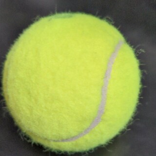 テニスボール1個 & ユーカリの葉(ボール)