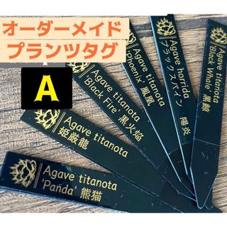 オリジナルプランツタグ　アガベ　チタノタ　白鯨　黒鯨　姫厳竜　パキポデイゥム(その他)