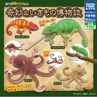 タカラトミーアーツ(T-ARTS)の奇妙ないきもの博物誌 カメレオンB(その他)