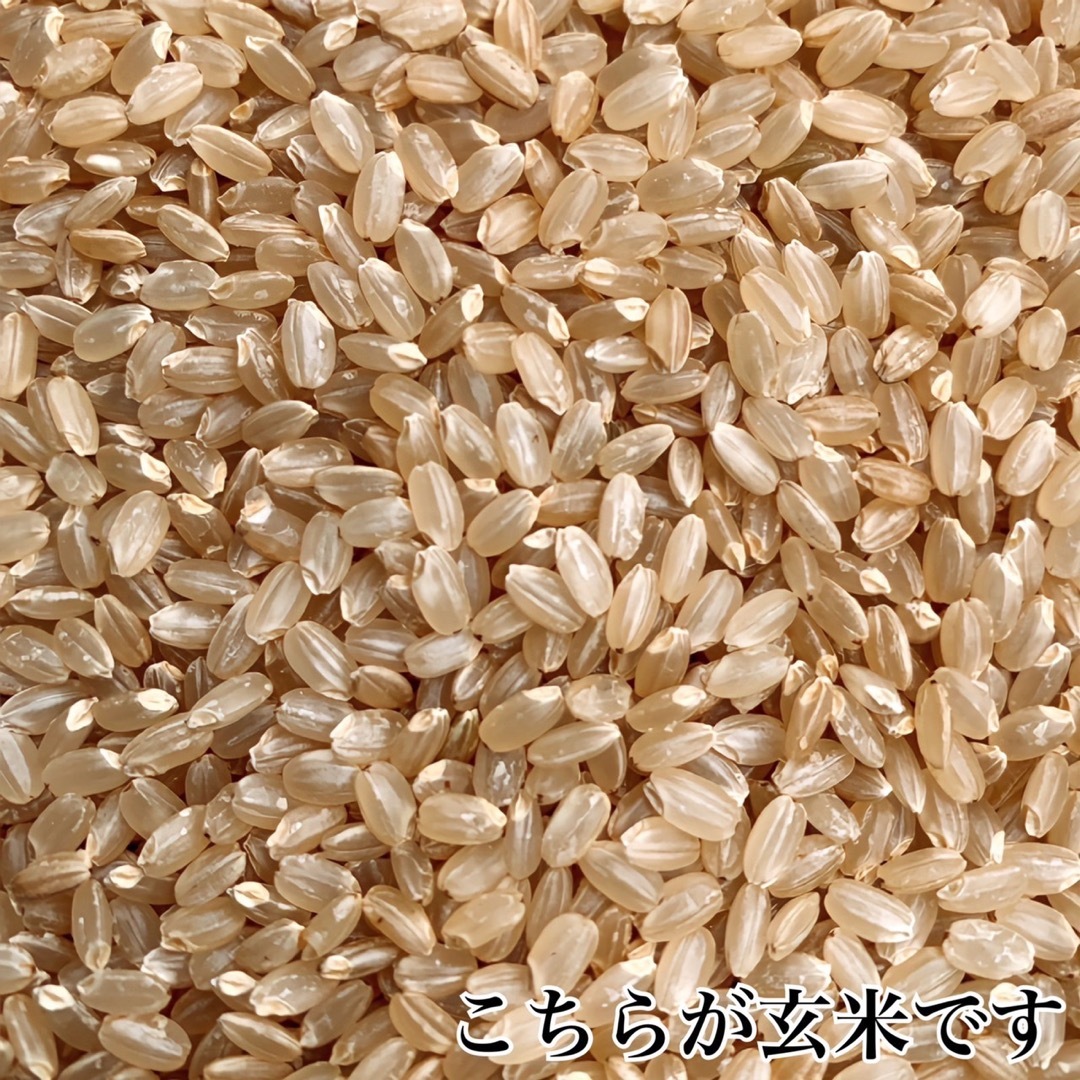 農薬不使用 令和4年度産のうるち米 あきたこまち(玄米)20K