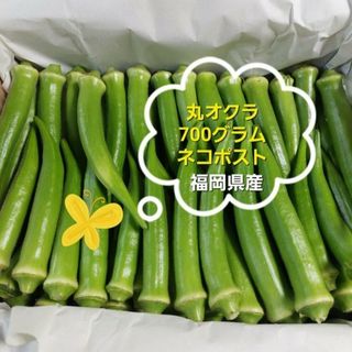 丸オクラ　700グラム　福岡県産(野菜)