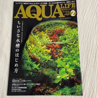 月刊 AQUA LIFE (アクアライフ) 2021年 02月号(その他)