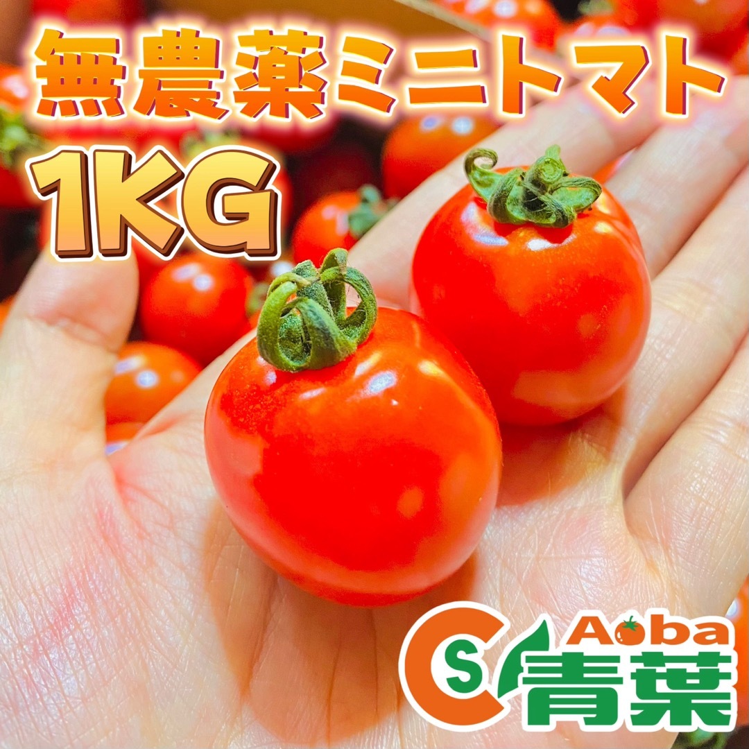 無農薬ミニトマト　1kg　甘い　濃厚　茨城県産　農園直送　農家直送　青葉農園 食品/飲料/酒の食品(野菜)の商品写真