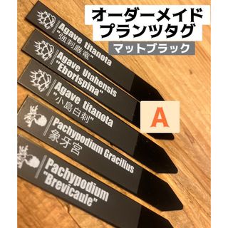 10本　プランツタグ　マットラベル　アガベ　　ユーフォルビア　チタノタ　白鯨(その他)