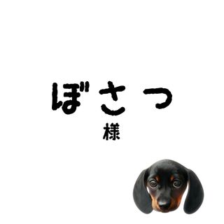 ぼさっちゃん(その他)