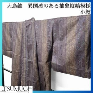 染大島紬 異国感のある抽象縦縞模様 小紋 着物