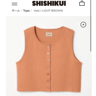 THE SHISHIKUI  Vest / LIGHT BROWN(カットソー(半袖/袖なし))