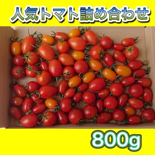農家直送☆ミニトマト純あま他 詰め合わせ約800gネコポス ブランド野菜(野菜)