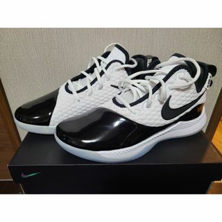 ナイキ(NIKE)のLEBRON WITNESS (その他)