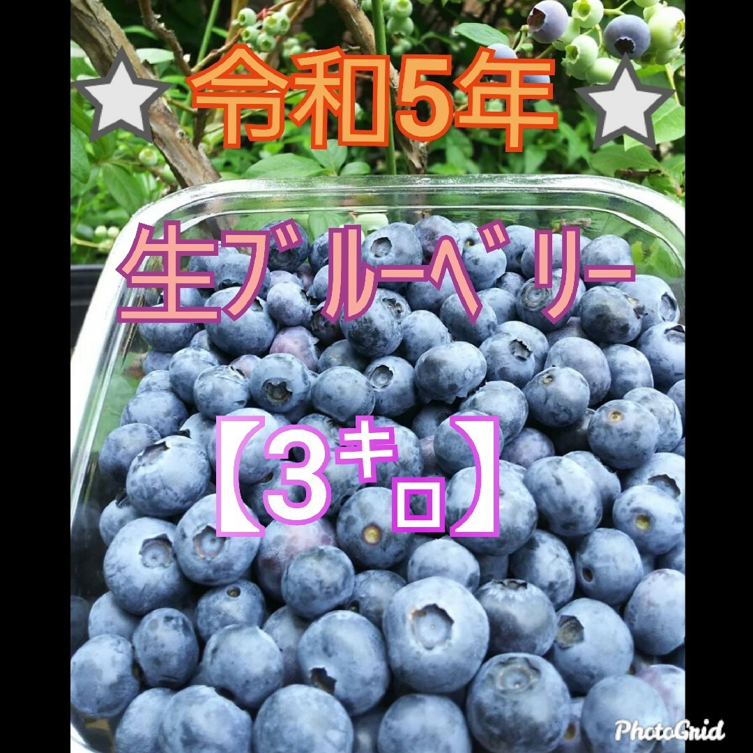 ⭐令和5年 生ﾌﾞﾙｰﾍﾞﾘｰ⭐3㌔食品