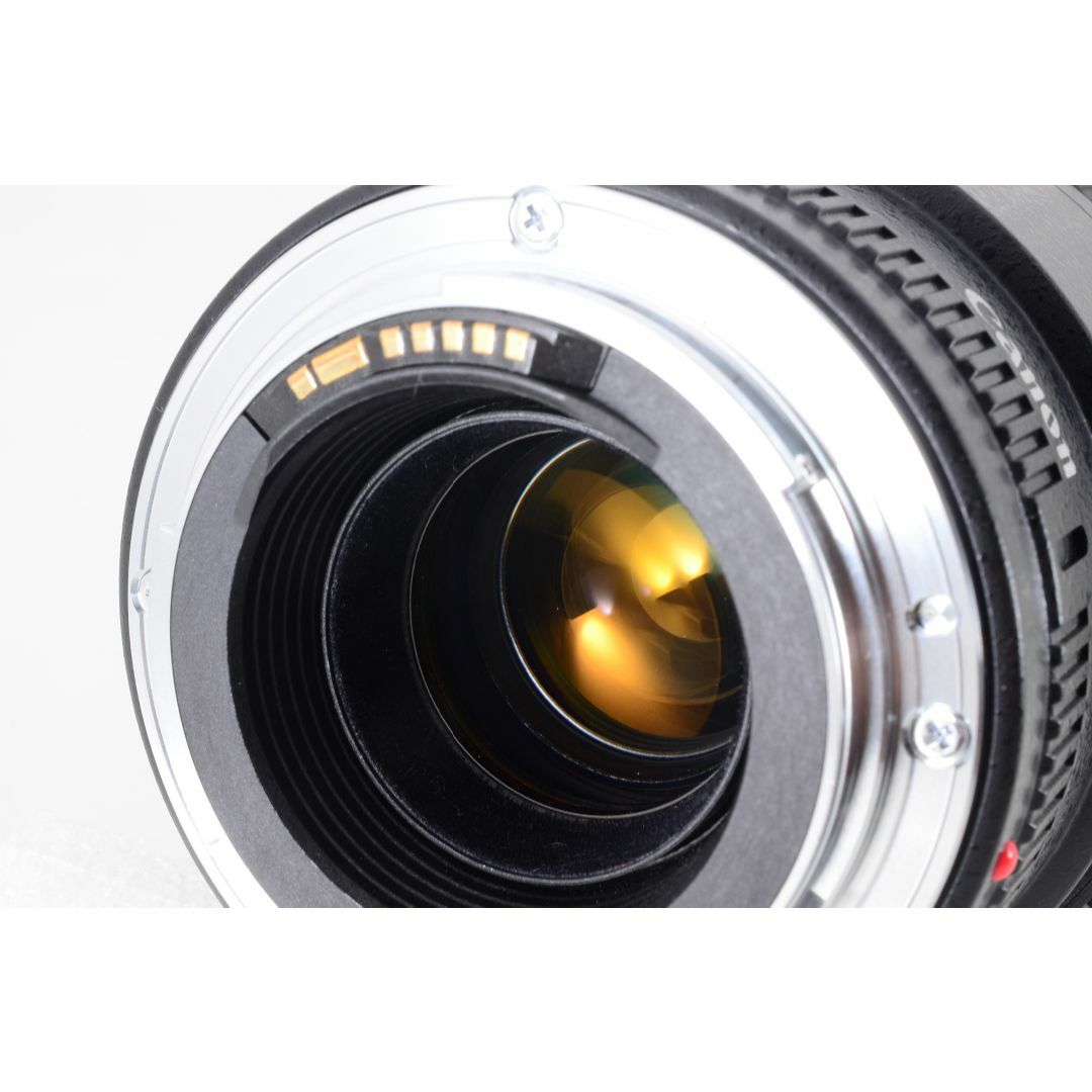❄中望遠マクロレンズ】Canon EF 100mm F2.8 USM オマケ多 カメラ ❄中望遠マクロレンズ】Canon EF 100mm F2.8 USM オマケ多 カメラ