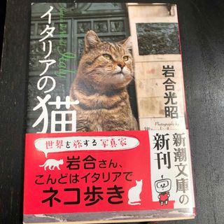 シンチョウブンコ(新潮文庫)のイタリアの猫⭐️ 文庫本サイズ⭐️岩合さん(その他)