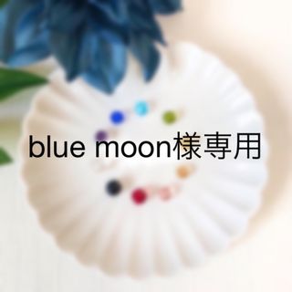 blue moon様専用(ネックレス)