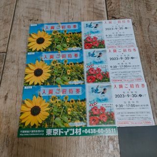 東京ドイツ村チケット　入園ご招待券有効期限9月30日まで3枚(遊園地/テーマパーク)