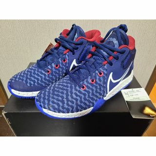 ナイキ(NIKE)の#KD TREY5(美品)(その他)