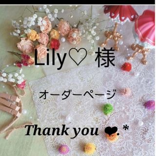 Lily 様  オーダーページ❁*.(その他)