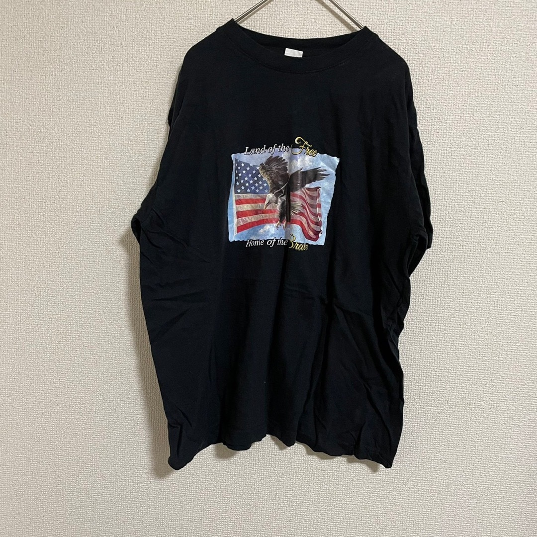 ●450【美品】US古着 アメリカ 国旗 アニマル ワシ 鷲 鷹 Tシャツ 半袖 メンズのトップス(Tシャツ/カットソー(半袖/袖なし))の商品写真