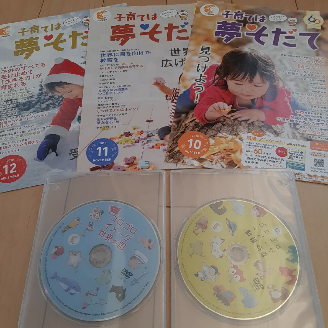 ゴロゴロイメージ都道府県 ゴロゴロイメージ世界の国 七田 しちだ 2枚セット