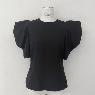 ドゥロワー(Drawer)の新品未使用即発送 cygne サイズ1 とんがりトップス半袖 Emily(Tシャツ(半袖/袖なし))