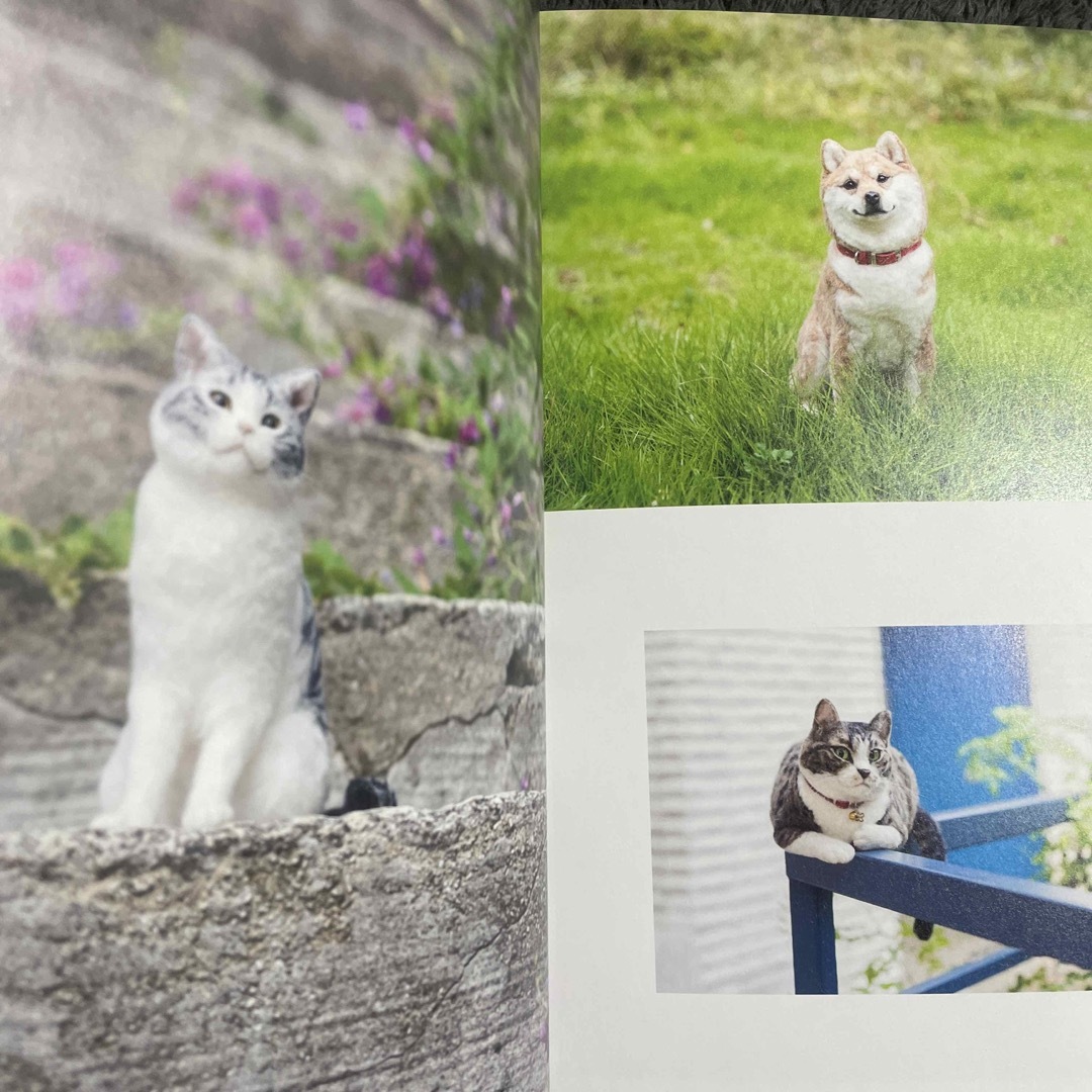 【期間限定出品】見分けがつかない！リアルすぎる羊毛フェルトの猫＆犬のつくりかた エンタメ/ホビーの本(趣味/スポーツ/実用)の商品写真