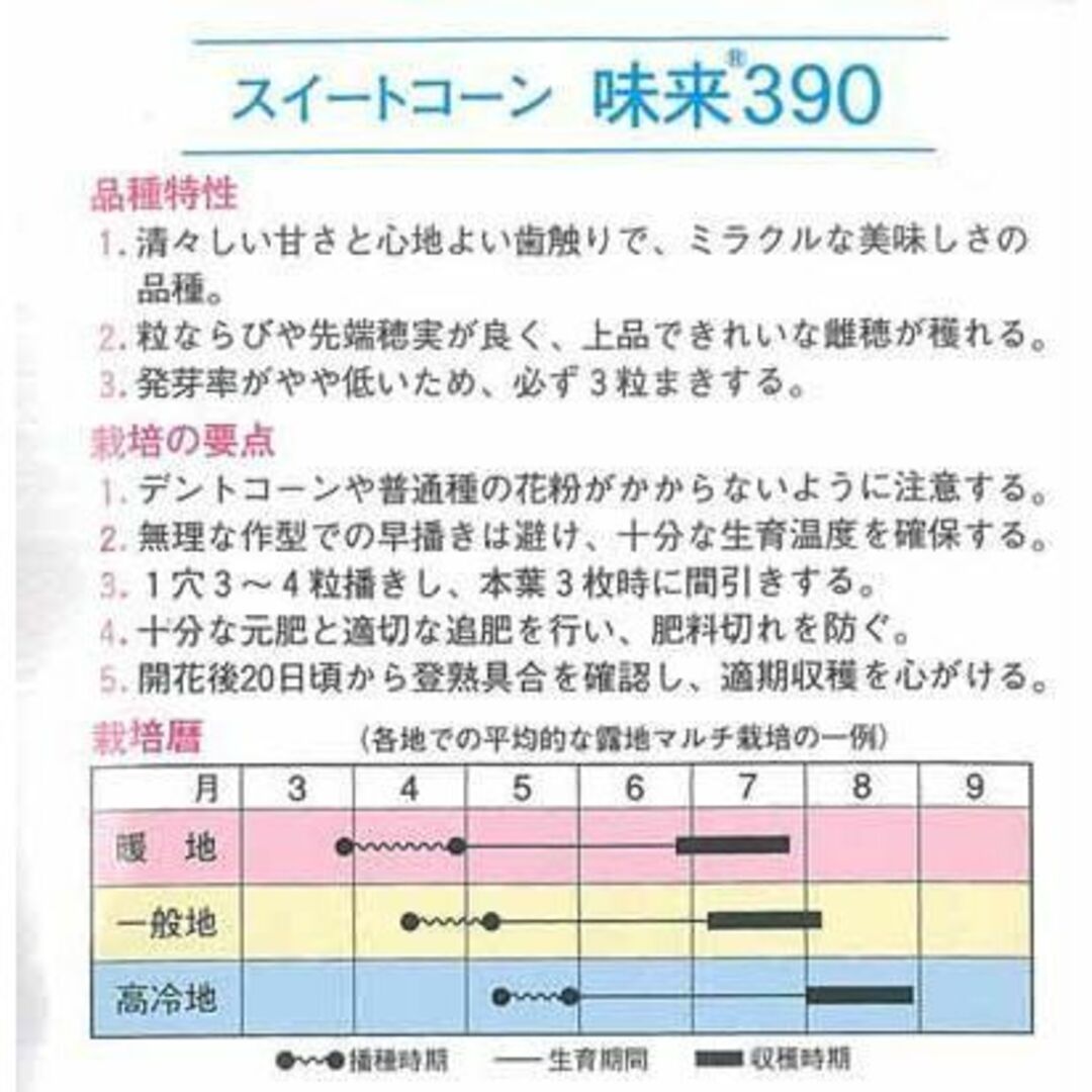 anny ＜野菜の種＞スイートコーン　味来３９０　とうもろこし　５０粒+３品 ハンドメイドのフラワー/ガーデン(プランター)の商品写真