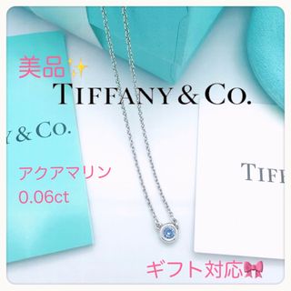 Tiffany & Co. - 美品✨ティファニーカラーバイザヤードネックレス