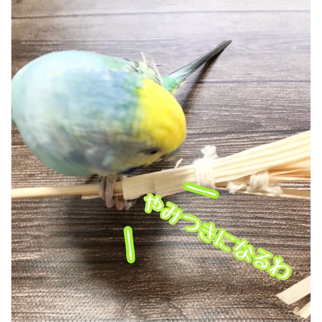 ひのきととうもろこしのパリパリほうき★インコや文鳥の小鳥のハンドメイドおもちゃ ハンドメイドのペット(おもちゃ/ペット小物)の商品写真