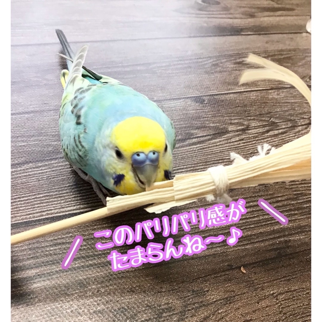 ひのきととうもろこしのパリパリほうき★インコや文鳥の小鳥のハンドメイドおもちゃ ハンドメイドのペット(おもちゃ/ペット小物)の商品写真