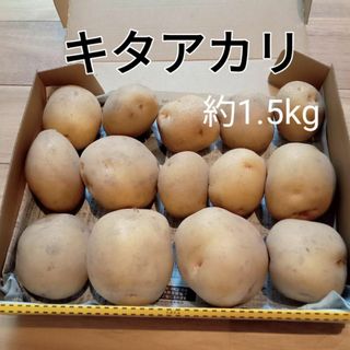 キタアカリ　じゃがいも　約1.5㎏(野菜)