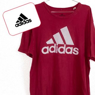 アディダス(adidas)のadidas（アディダス）／トップス　カットソー　Tシャツ　半袖(Tシャツ/カットソー(半袖/袖なし))