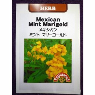 ＜花の種＞メキシカン　ミント　マリーゴールド　0.5ｍｌ　約１００粒(プランター)