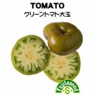 ＜野菜の種＞グリーントマト　大玉　緑色の大玉トマト　１０粒(プランター)