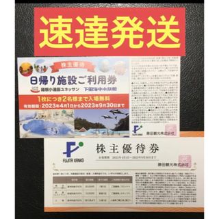 藤田観光株主優待 日帰り施設利用券（箱根小涌園ユネッサン　株主優待券のセット(遊園地/テーマパーク)