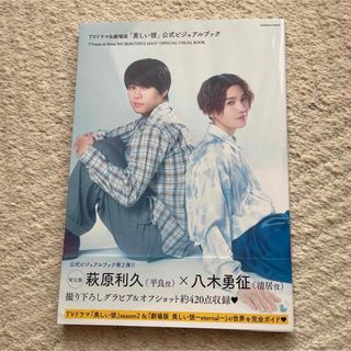 エグザイル トライブ(EXILE TRIBE)のＴＶドラマ＆劇場版「美しい彼」公式ビジュアルブック ２(アート/エンタメ)