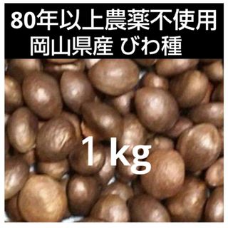 びわの種　(乾燥)1kg 農薬不使用　化学肥料不使用  びわ種  ビワ種(フルーツ)