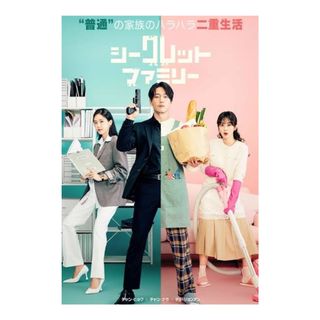 韓国ドラマ『シークレットファミリー』全話 DVD チャンヒョク チャンナラ(TVドラマ)