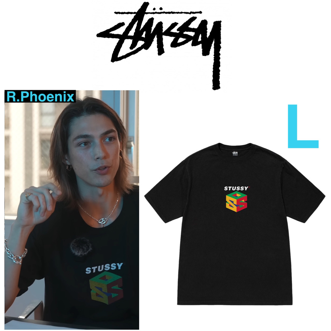 STUSSY - ryo様専用 STUSSY S64 PIGMENT DYED T-SHIRT Lの通販 by R ...