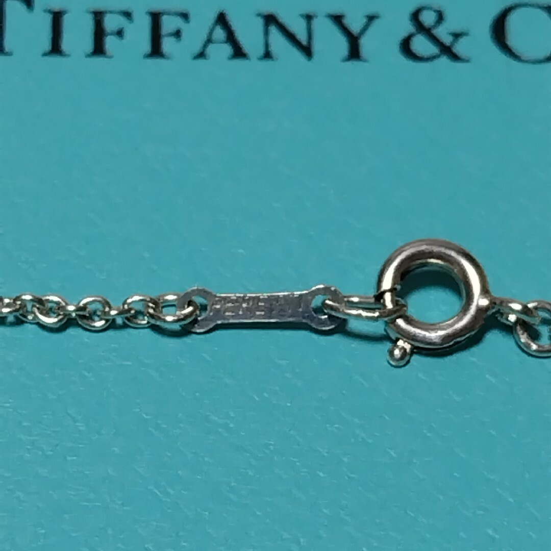 Tiffany & Co.(ティファニー)のTIFFANY sv925 イニシャル M ネックレス ロングチェーン 76cm レディースのアクセサリー(ネックレス)の商品写真