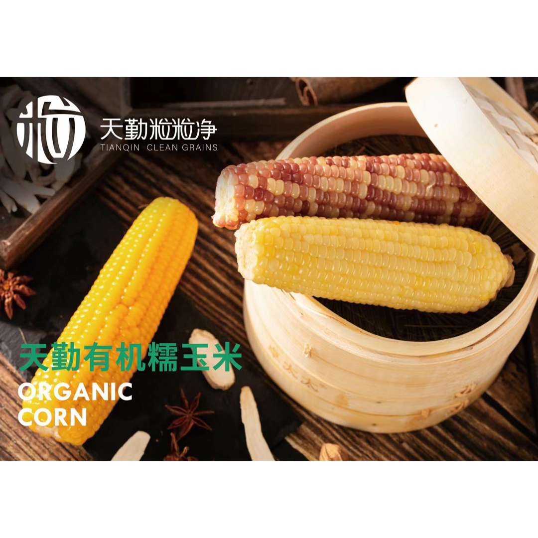 新入荷♪彩糯とうもろこし軸付き【40本入り・1ケース】真空パック もち ... 新入荷♪糯とうもろこし軸付き【黄20本と白20本】40本入り1ケースもち糯玉米棒