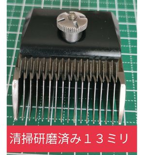 スピーディク替刃　１３ミリ①　清掃研磨済み