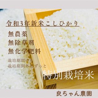 特別栽培米こしひかり栽培期間中無農薬(栽培期間外もずっと)令和3年産3合450g(米/穀物)