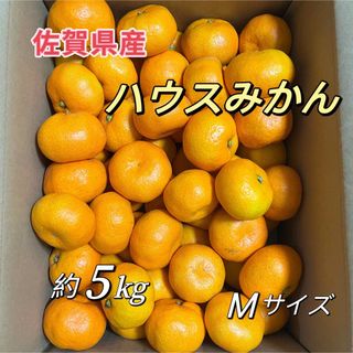 唐津　ハウスみかん　約5kg  Mサイズ　佐賀産　温室みかん(フルーツ)