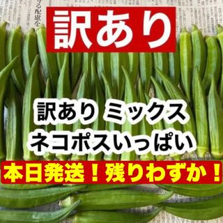 【訳あり】高知県産 オクラ おくら 即購入OK  agt57(野菜)
