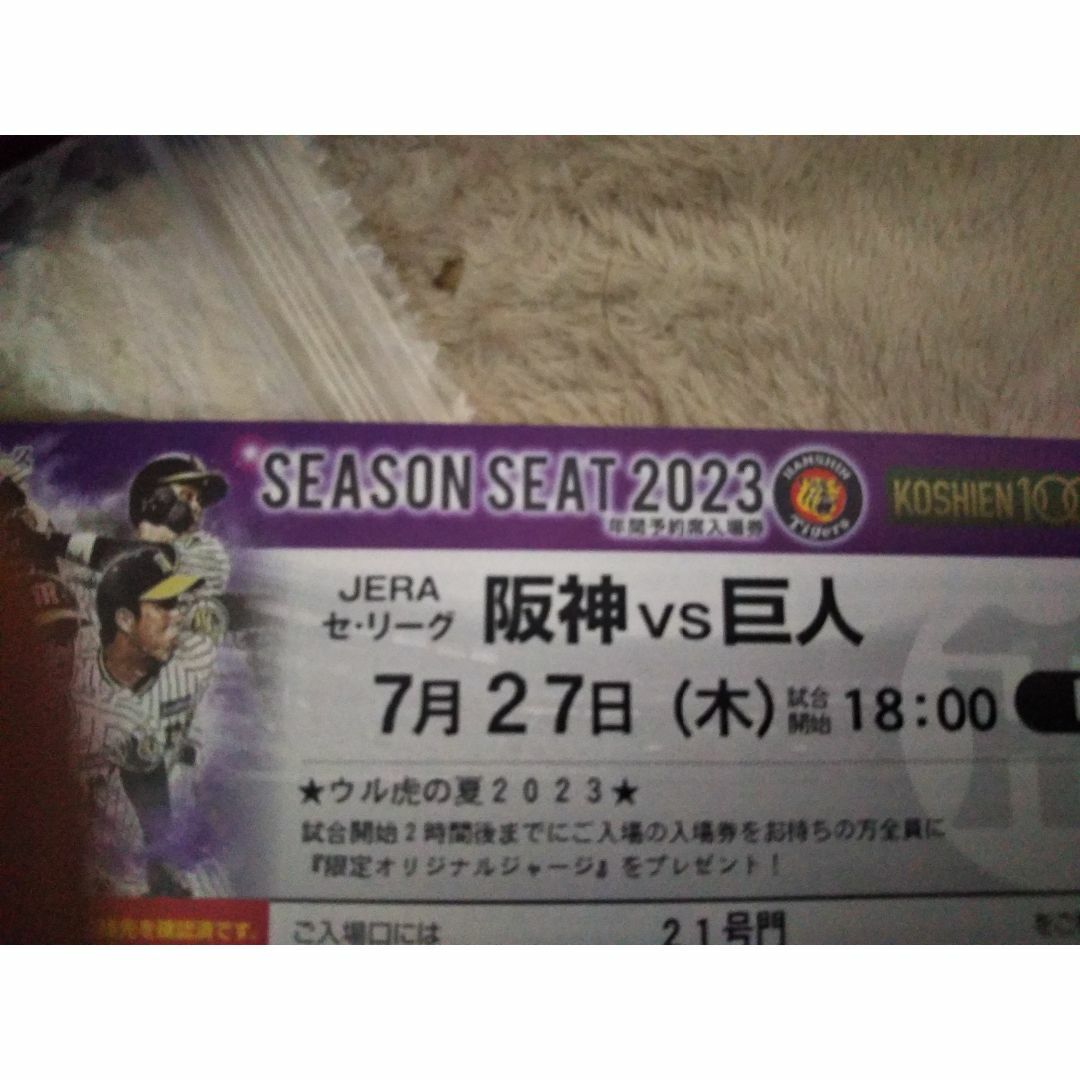 7月27日 阪神VS巨人 甲子園ライトスタンドペア券 www.krzysztofbialy.com