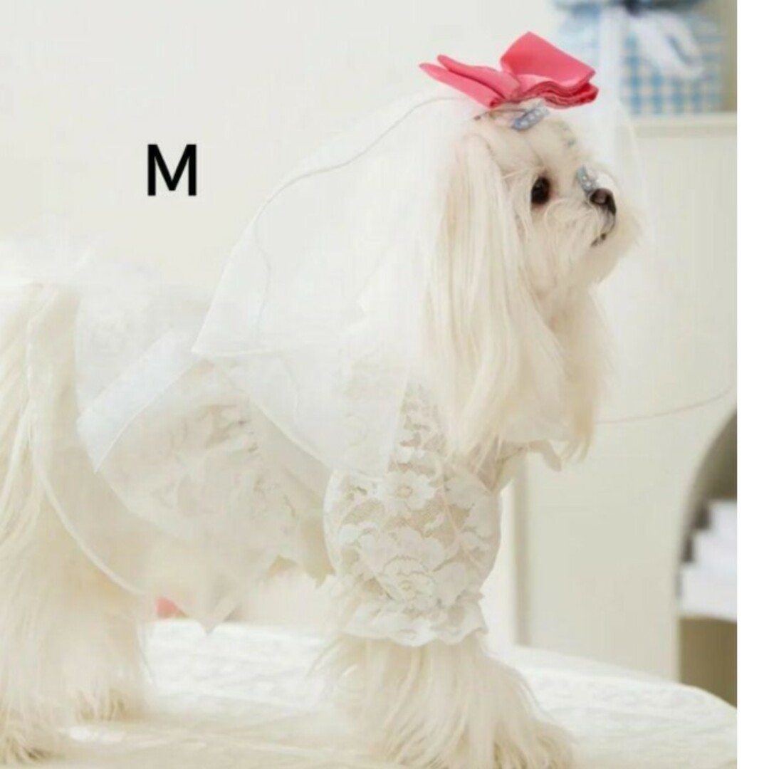 犬 ドレス M