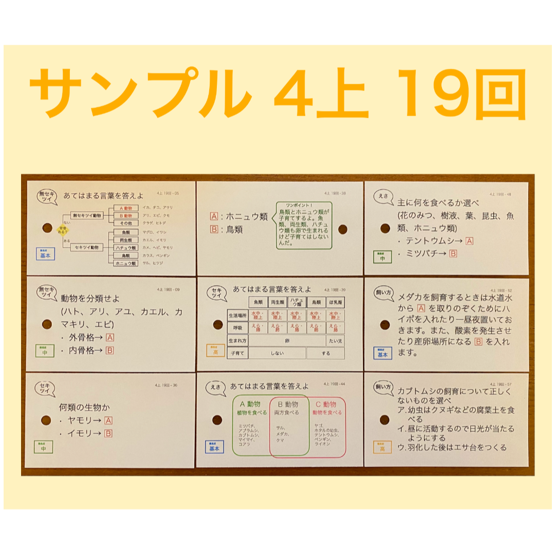 中学受験 暗記カード【4年上 社会・理科16-19回】予習シリーズ 組み