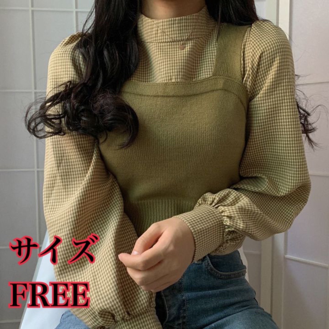 ビスチェニット&ギンガムチェックシャツ　レディース　FREEサイズ　送料無料 レディースのトップス(ニット/セーター)の商品写真