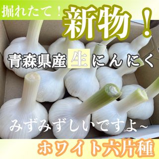 青森県産！福地ホワイト六片！幻の生にんにくサイズ混合送料無料(野菜)