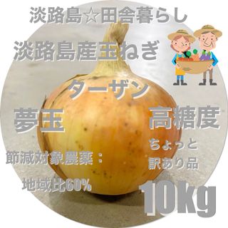 淡路島産玉ねぎ10kg ターザン ちょっと訳あり品 減農薬農薬 高糖度 夢玉 (野菜)